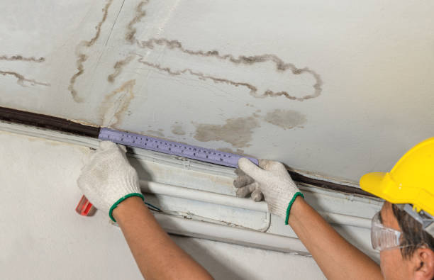 Reliable Mold Remediation contractor in New Castle, NH by Water Damage Irwin
